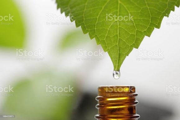 Holistic Approach to Wellness
